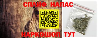 гашик Волгодонск