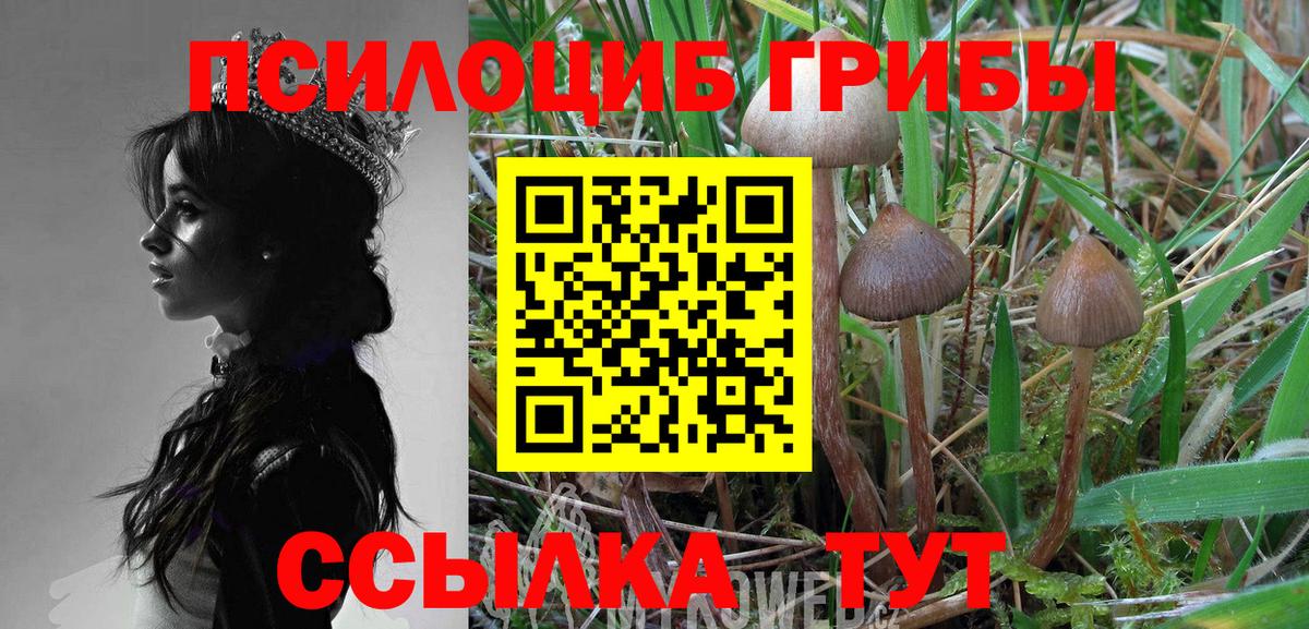 Галлюциногенные грибы Magic Shrooms  Галлюциногенные грибы ЛСД  Рязань  Вход с VPN 