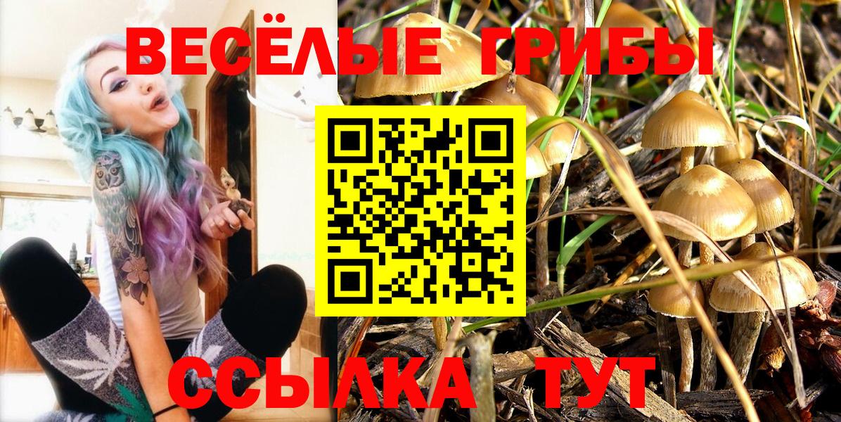 Псилоцибиновые грибы Psilocybe Рязань